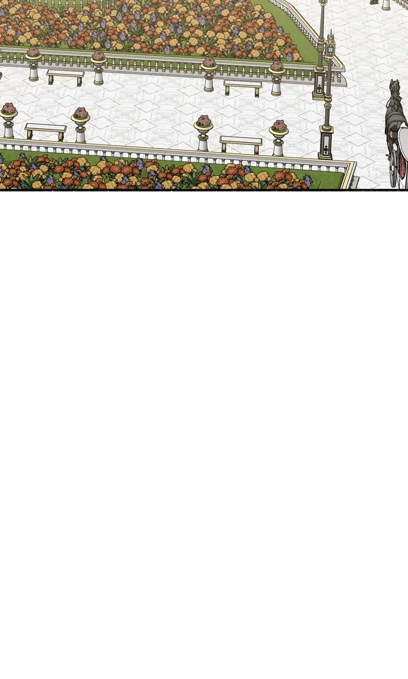 32997797 800 1333 68230