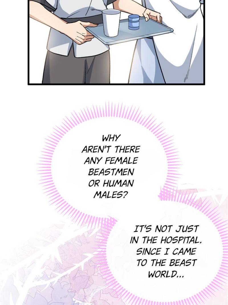 80990437 800 1067 72727